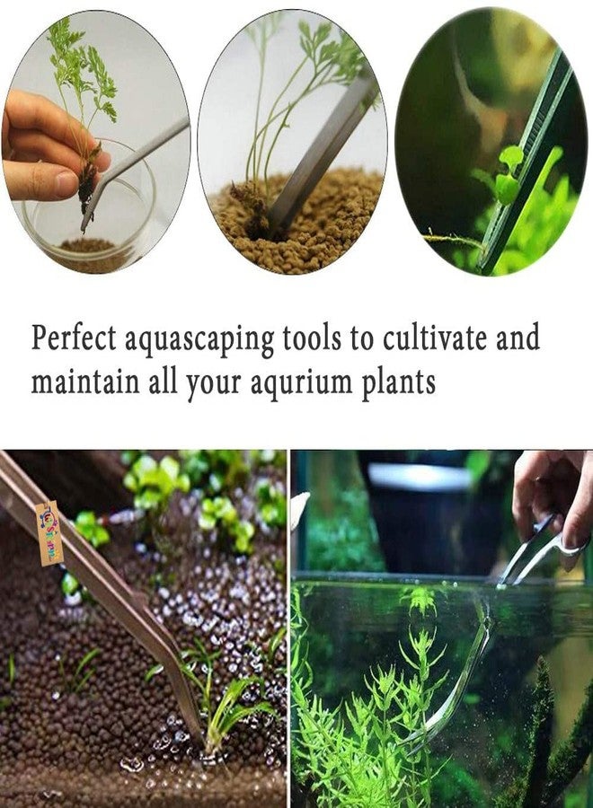 Western Era Aquarium 38cm Straight Tweezer, Fish Tank Landscaping Pruning, Plant Trimming Tools, High Hardness, Toughness, Durable, Non-deform & Fracture, Special Design, Stable, Easy to Hold, Clean - Image 3